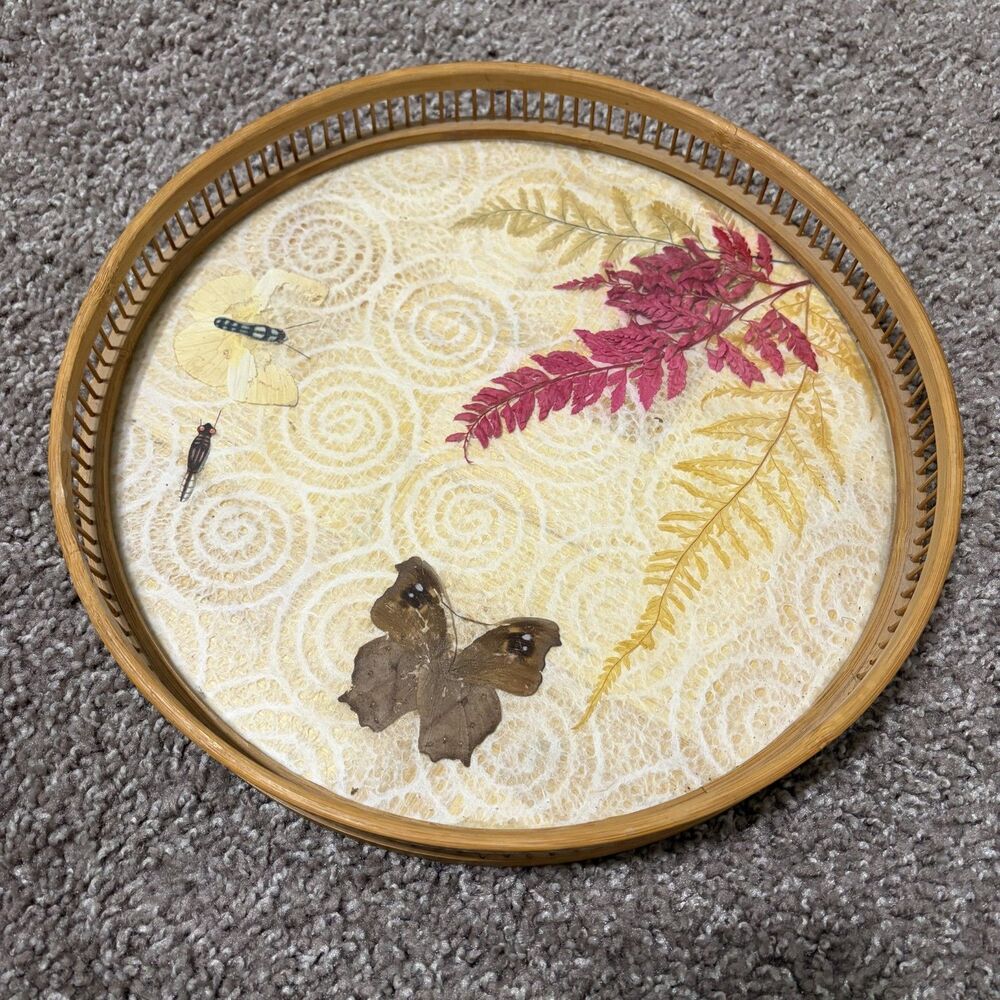 1970s Vintage Bamboo & Pressed Butterfly Serving Tray